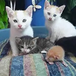 بيت للعطل Casa Rossa